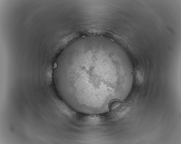 X0000111350668200907171144