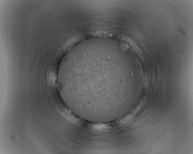 X0000111350669200907171144