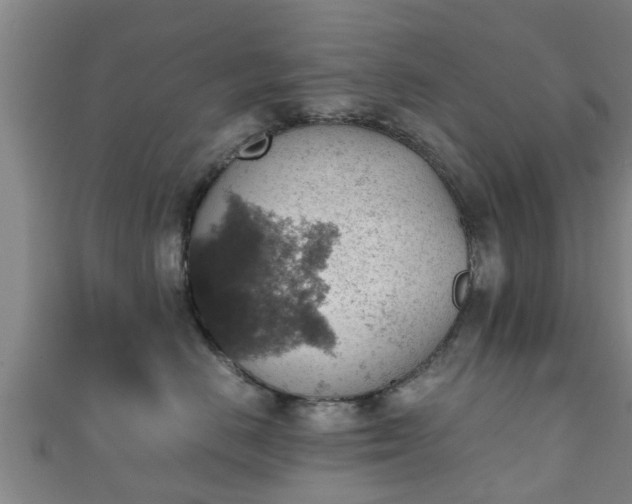 X0000111350670200907171144