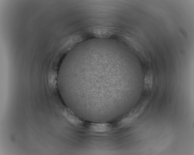 X0000111350671200907171144