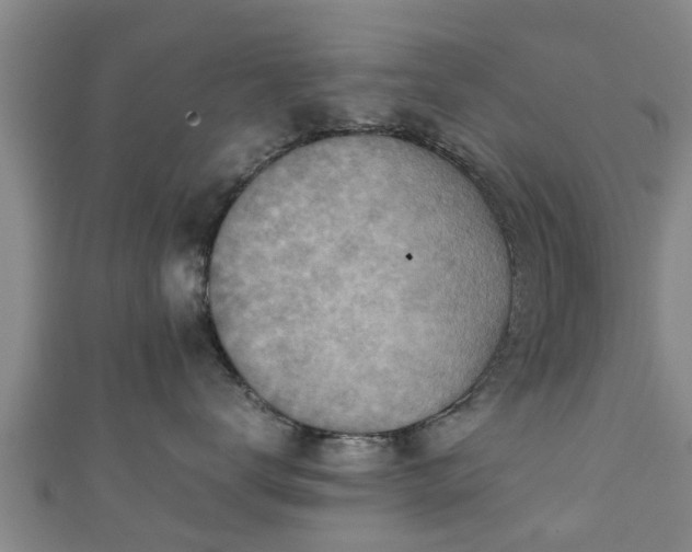 X0000111350672200907171144