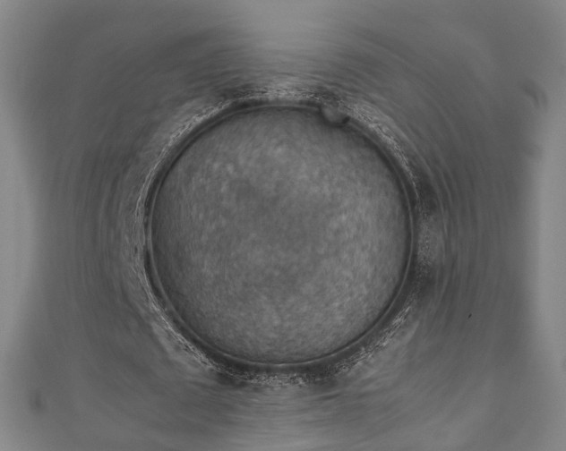 X0000111350673200907171143