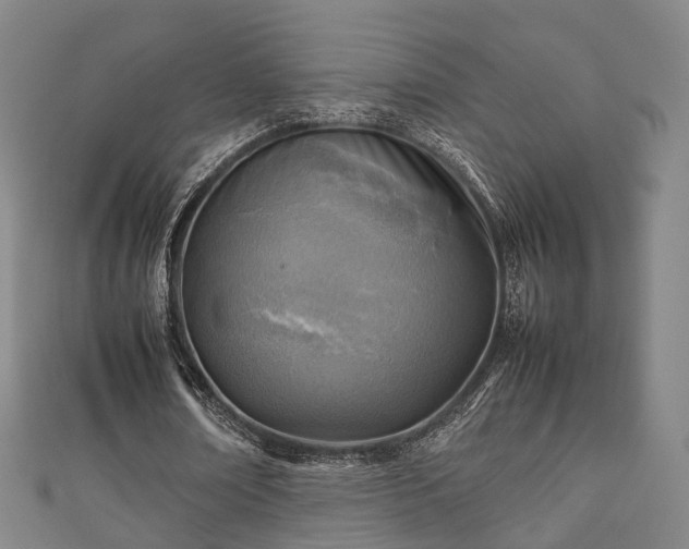 X0000111350674200907171143