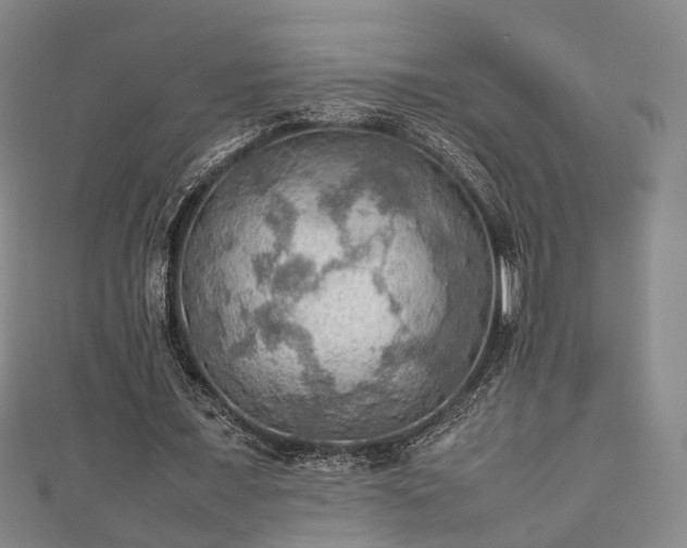 X0000111350675200907171143