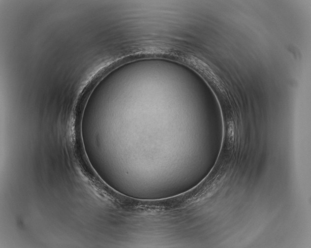 X0000111350676200907171143