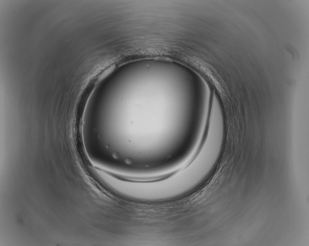 X0000111350677200907171143