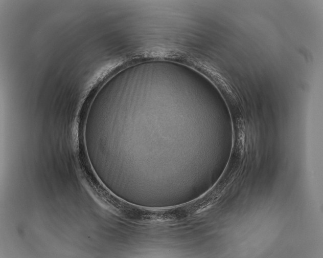 X0000111350678200907171143