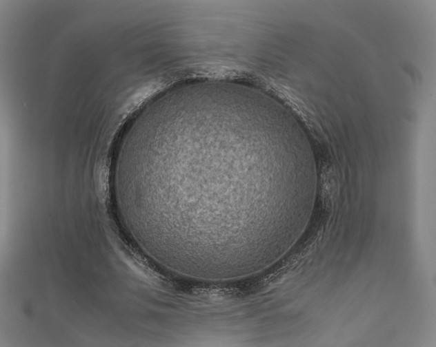 X0000111350679200907171143