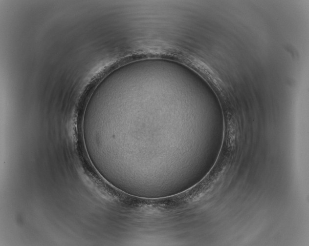 X0000111350680200907171143