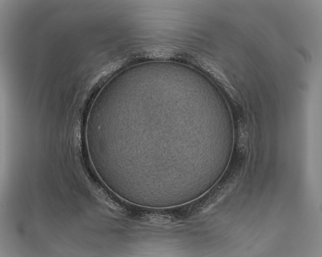 X0000111350681200907171143