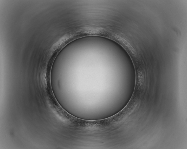 X0000111350682200907171143