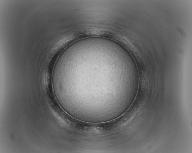 X0000111350683200907171143