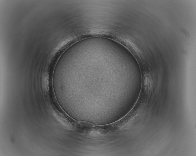 X0000111350684200907171143