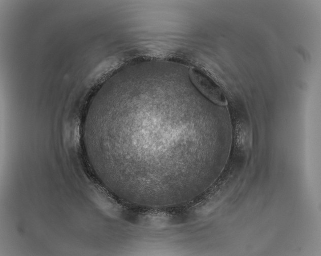 X0000111350685200907171143