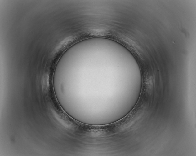 X0000111350686200907171143