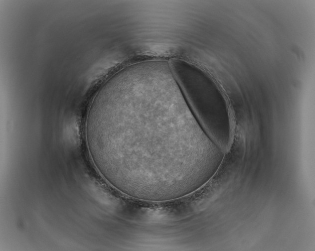 X0000111350688200907171143