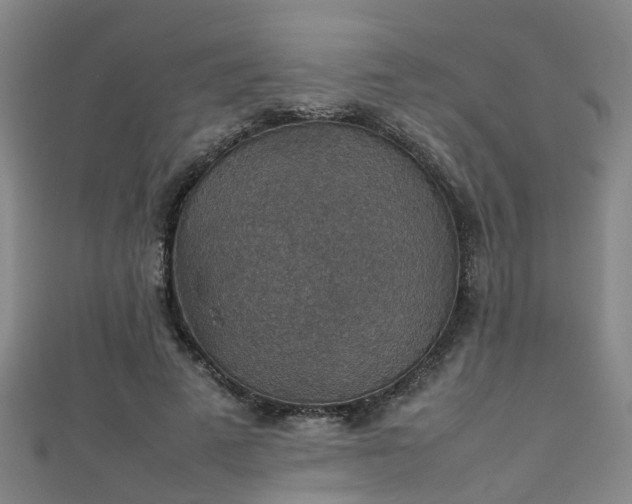 X0000111350689200907171143