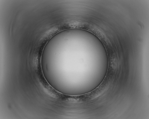 X0000111350690200907171143