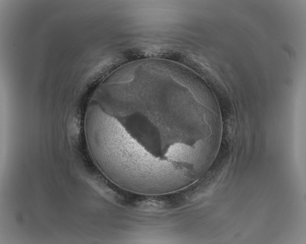 X0000111350691200907171143