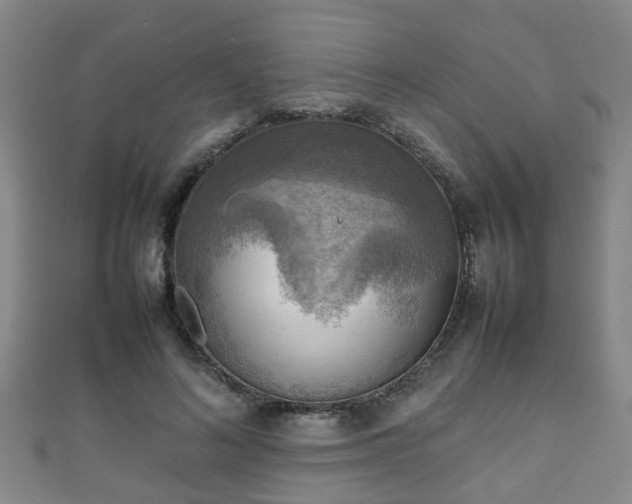 X0000111350692200907171143