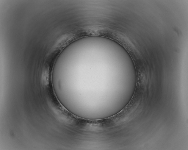 X0000111350694200907171143