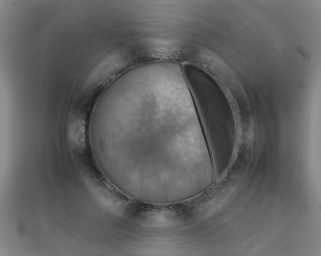 X0000111350696200907171143