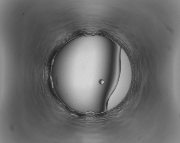 X0000111350697200907171143