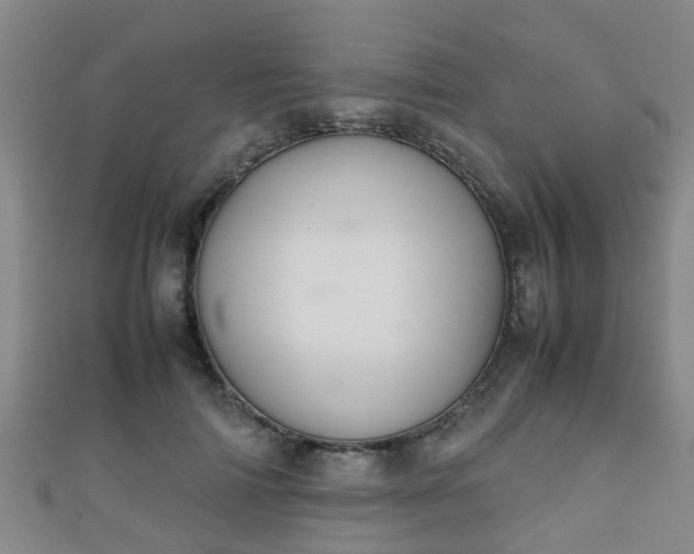 X0000111350698200907171143