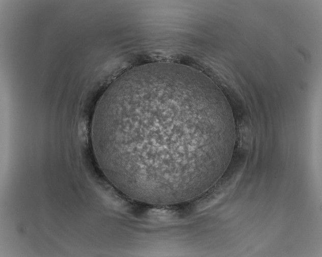 X0000111350699200907171143