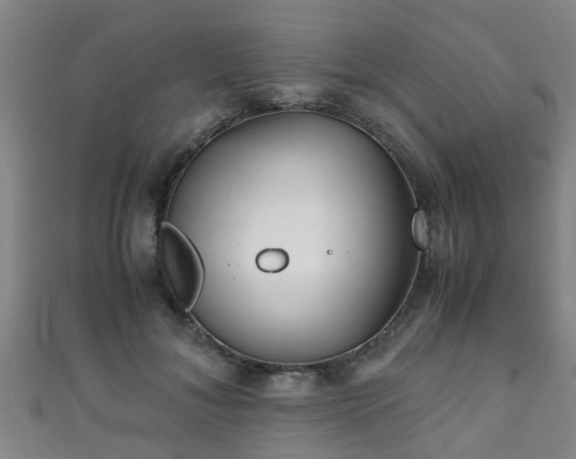 X0000111350700200907171143