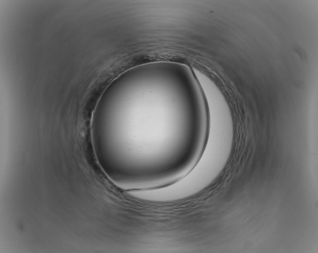 X0000111350701200907171143