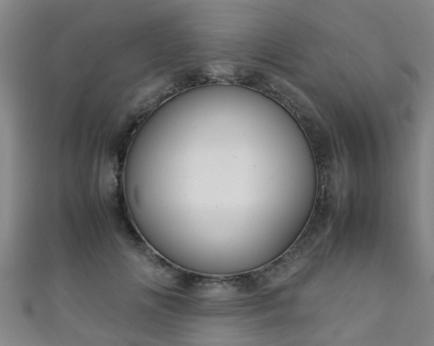 X0000111350702200907171143