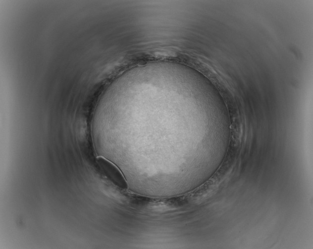 X0000111350704200907171143