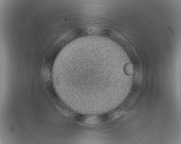 X0000111350705200907171143