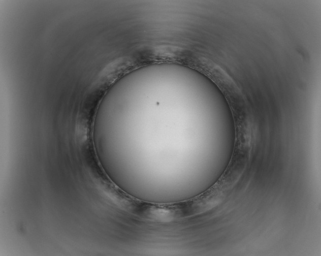 X0000111350706200907171143