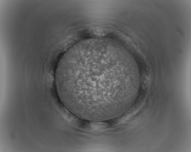 X0000111350707200907171143