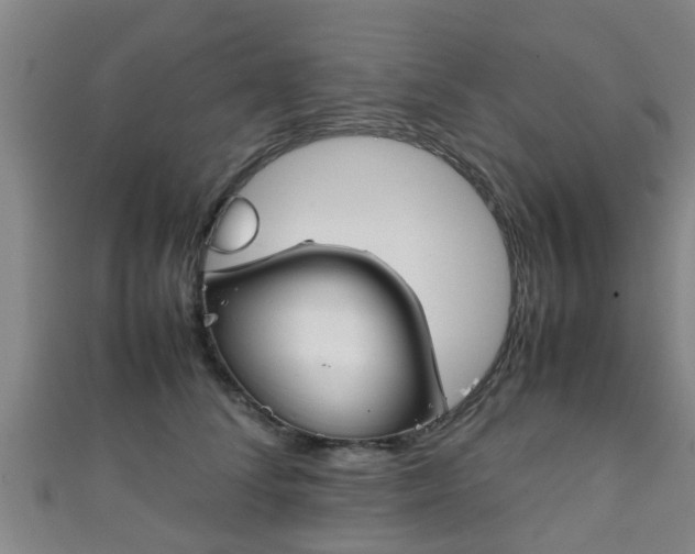 X0000111350708200907171143