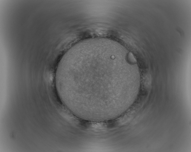 X0000111350709200907171143