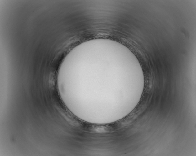 X0000111350710200907171143