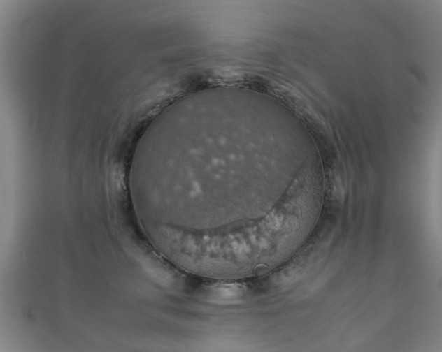 X0000111350711200907171143