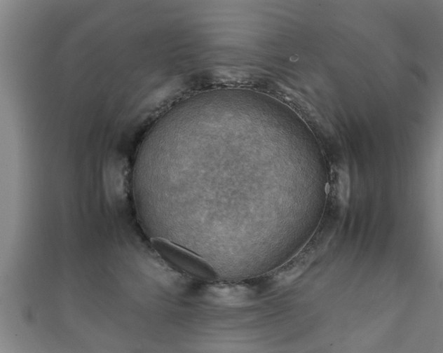 X0000111350712200907171143