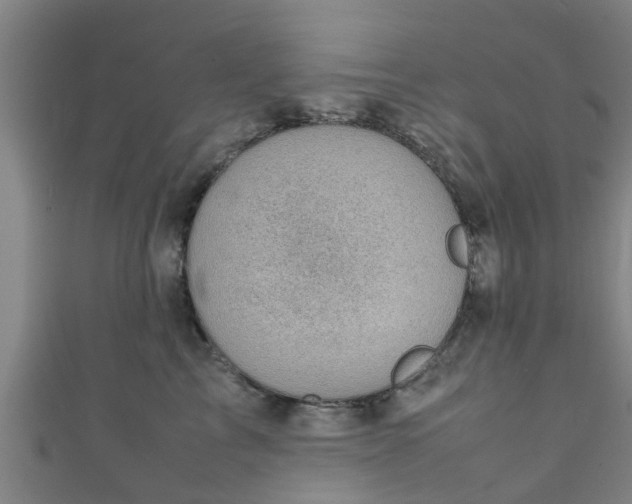 X0000111350713200907171143