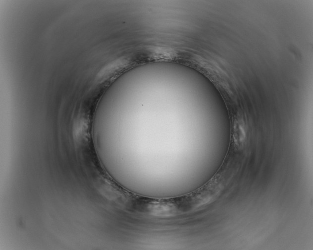 X0000111350714200907171143