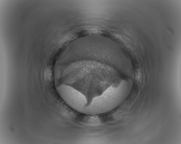 X0000111350715200907171143