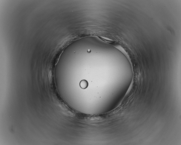 X0000111350716200907171143