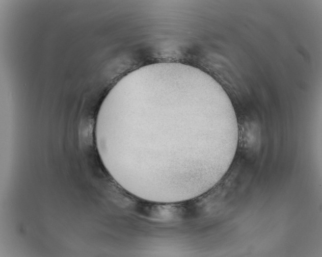 X0000111350717200907171143