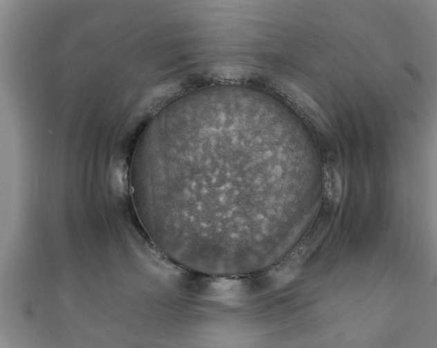 X0000111350718200907171143