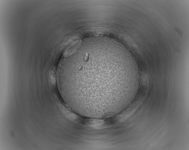 X0000111350719200907171143