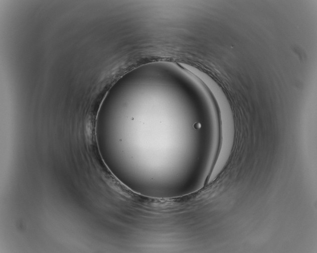 X0000111350720200907171143