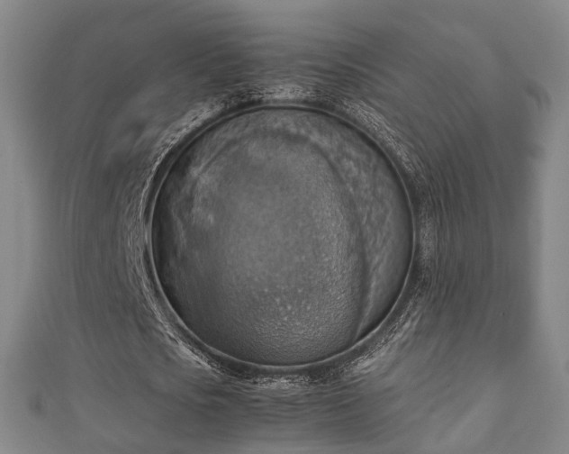 X0000111350721200907171142